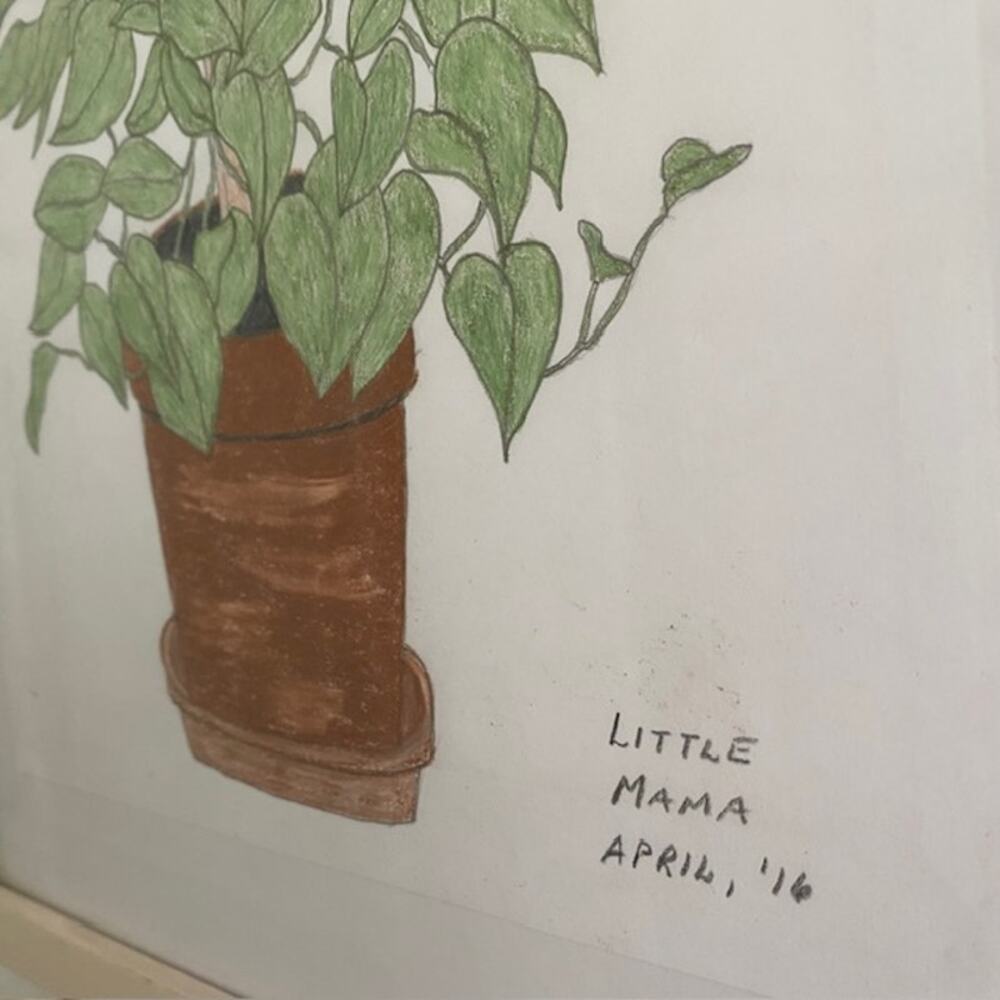 Original Art Philodendron "Little Mama" April‎ 2016 Pencil Drawing Framed - Picture 5 of 10